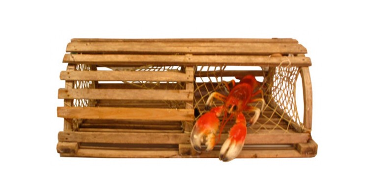 Lobster Trap (Lobster Not Included) - Lost and Found