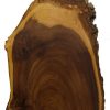 English Elm Surface with Exposed Bark Edges
