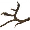 Taxidermy Brown and Beige Antler with Six Points