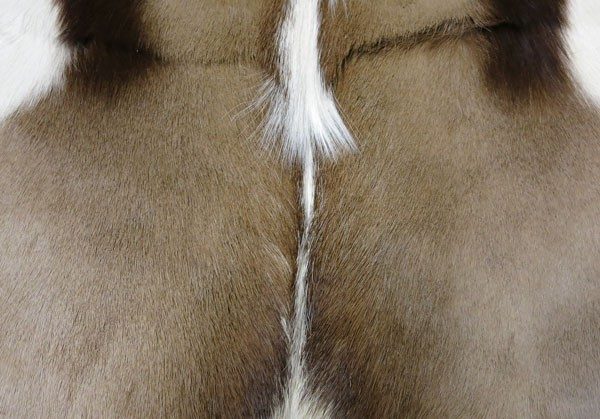 Brown and White Deer Skin Rug